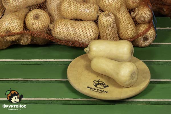 Тыква Гитара, стандарт