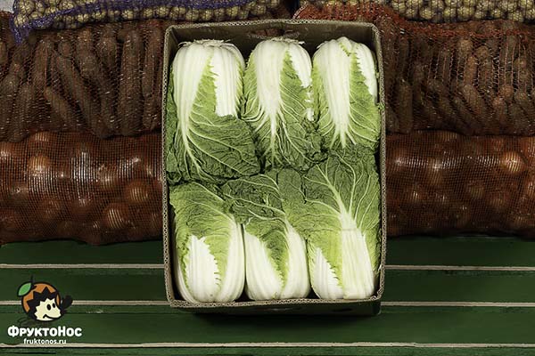 Капуста Пекинская, стандарт